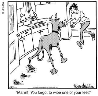marmaduke